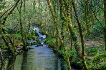 Upper part of the Nature Park of the Barosa River, an ethnographic and natural complex located in Barro, Pontevedra (Spain)