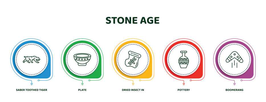 editable thin line icons with infographic template. infographic for stone age concept. included saber toothed tiger, plate, dried insect in amber, pottery, boomerang icons.