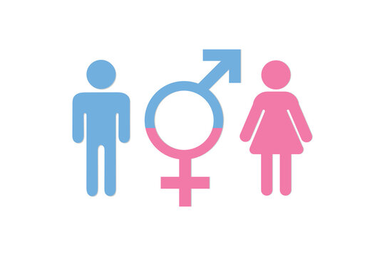 Male and Female Gender symbol vector