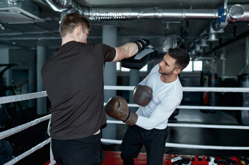Two sparring partners in boxing gloves practice kicks