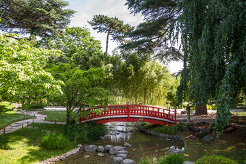 Traditional red wooden bridge on a japanese garden pond