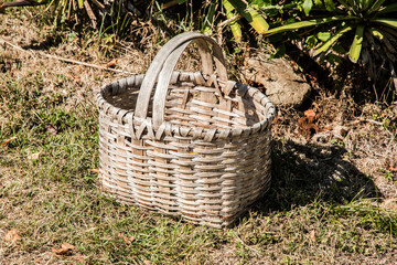 Fototapeta na wymiar Old wicker basket in garden meadow closeup in sunny day