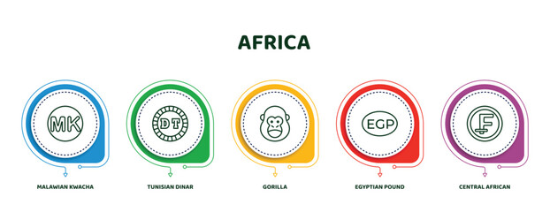 editable thin line icons with infographic template. infographic for africa concept. included malawian kwacha, tunisian dinar, gorilla, egyptian pound, central african franc icons. - obrazy, fototapety, plakaty