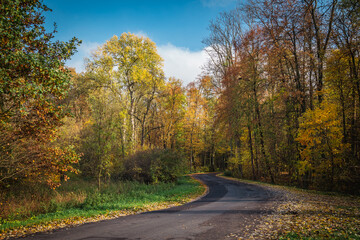 Jesienny krajobraz z drogą. 