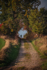 Rowerzysta jadący polną ścieżką 