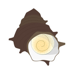 さざえのイラスト