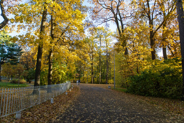 autumn park