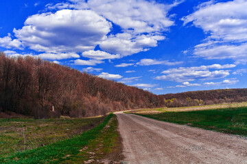Fototapeta na wymiar Beautiful landscape on a sunny day. An earthen road. Green meadows.A landscape with a colorful sky under the sun. Mountain slope. Green trees. natural background. Creative 