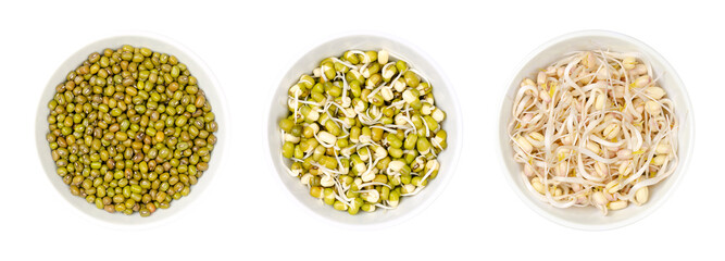 Mung beans, dried, sprouted, and mung bean sprouts, in white bowls, isolated, from above, over...