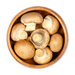 Brown champignons, in a wooden bowl, isolated, from above. Raw, young mushrooms, Agaricus bisporus, known as Swiss, Roman or Italian brown mushroom, cremini or chestnut mushroom or also as baby bella!