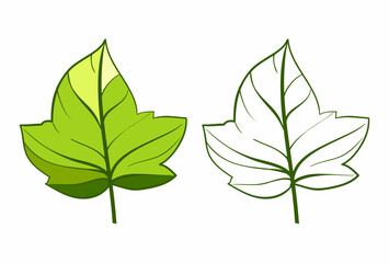 Green Leaves Vector Floral