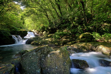 Obraz premium the Manyueyuan National Forest Recreation Area in New Taipei City, Taiwan