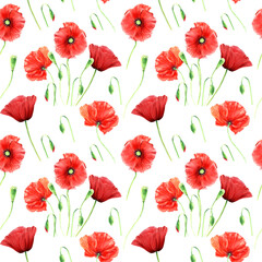 Seamlesss pattern with wild poppies isolated on white background