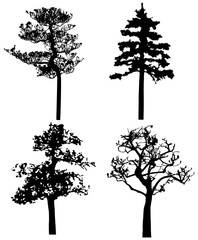 Obraz premium Png silhouette of isolated trees.
