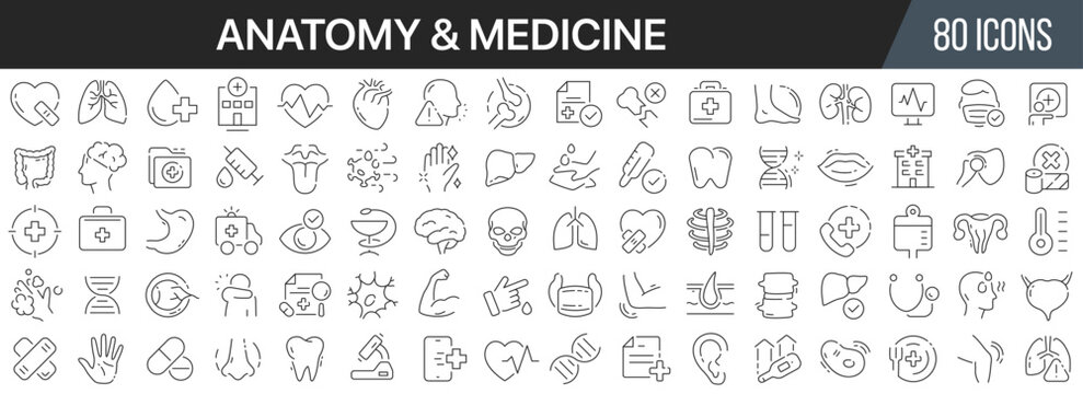 Anatomy and medicine line icons collection. Big UI icon set in a flat design. Thin outline icons pack. Vector illustration EPS10