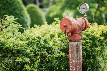 red fire hydrant on the lawn