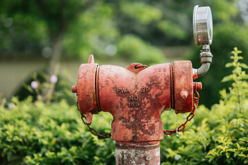 red fire hydrant on the lawn