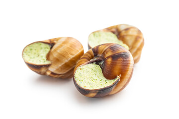 Snails with parsley butter, Bourgogne Escargot Snails  isolated on white background. Delikatese food.