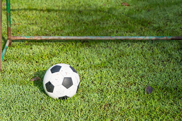 Football balloon on the green grass.