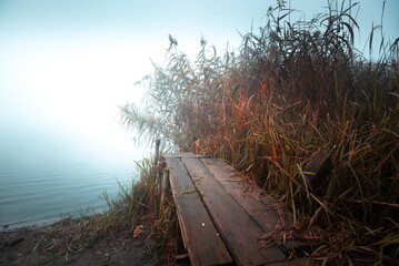 Jesień, mgła, jezioro i kolorowe trawy. Klimatyczny, jesienny poranek w Krakowie, na Bagrach....