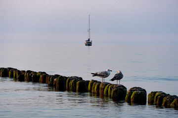 Perched seagulls on the breakwaters in the sea.
Sunset on the Baltic Sea, Kołobrzeg, Poland
Summer, 2022