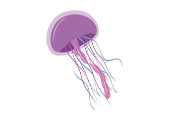 Cartoon jellyfish in flat style. Vector illustration of jellyfish isolated on white background