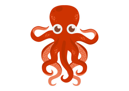 Cartoon Octopus Vector Graphics. Squid on white background