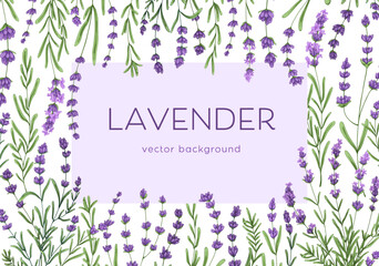 Flower framed card design. Background with lavender blooms, branches. Romantic banner template with delicate purple lavendar, leaves, wild French herbs. Colored hand-drawn vector illustration