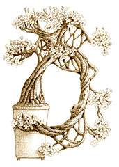 Bonsai sakura tree with vase, grass, branches and  flowers. Hand drawn ink pen illustration. Engraving style.