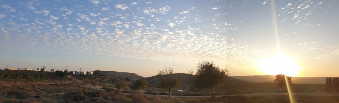 Pure Nature In Israel, Without Filters