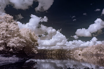infrared photography - ir photo of landscape under sky with clouds - the art of our world in the...