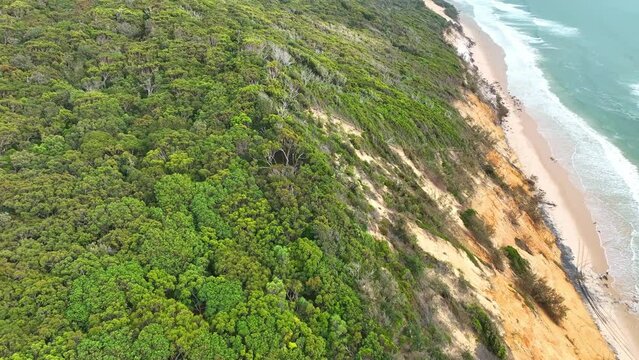 flying along the top of hill covered in trees overlooking pristine sandy beach