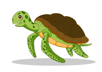 Cartoon turtle isolated on white background