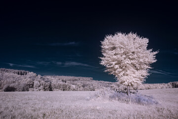 infrared photography - ir photo of landscape under sky with clouds - the art of our world in the infrared spectrum