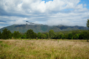 Rural landscape with low clouds covering the mountains. Widgee, Queensland, Australia 