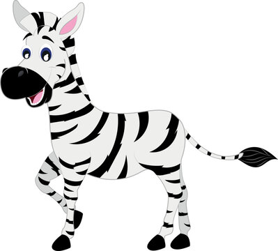 Cartoon Vector Zebra