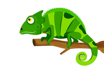 Chameleon lizard standing on a branch stick. Vector illustrator of chameleon lizard isolated on white background