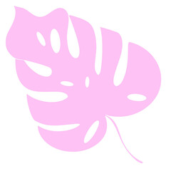 simple design element clipart illustration plant leaf tropical monstera on white background pink color closeup