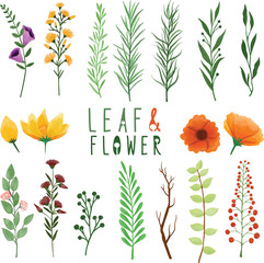 Set of watercolor painted Leaf, Green leaves and Flowers clipart. Hand drawn isolated on white background