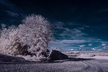 infrared photography - ir photo of landscape under sky with clouds - the art of our world in the...