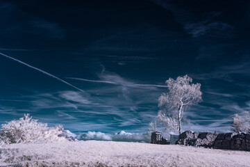infrared photography - ir photo of landscape under sky with clouds - the art of our world in the...