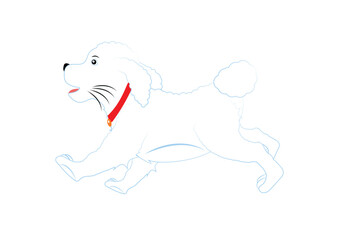 Clipart Vector Bichon Dog