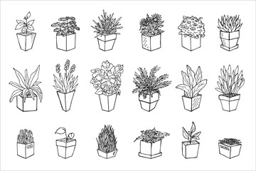 Cute hand drawn houseplant in a pot clipart. Plant illustration. Cozy home doodle set