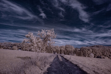 infrared photography - ir photo of landscape under sky with clouds - the art of our world in the...