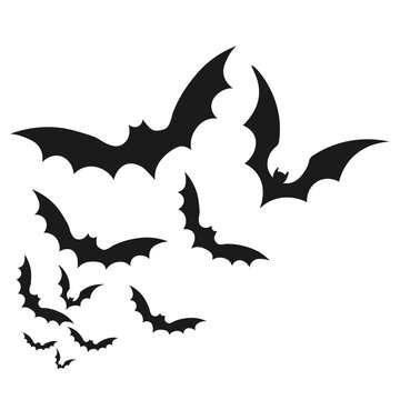 Halloween bats flying
