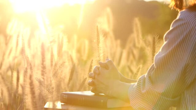 A Christian praying with his hands together on the holy bible on Thanksgiving Day and the sunset scenery of reeds and barley fields swaying in the autumn sunlight and wind
