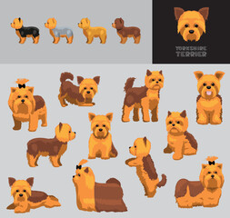 Dog Yorkshire Terrier Cartoon Brown Coat Vector Illustration Color Variation Set
