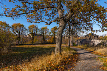 Park view, parkway, Bridge with view point tower, northern district a colorful autumn day in Stockholm
