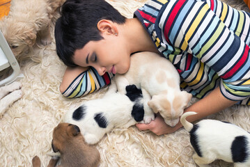 Young woman playing with puppies on the floor
