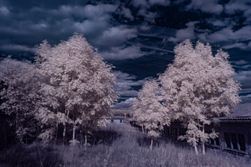 infrared photography - ir photo of landscape under sky with clouds - the art of our world in the...